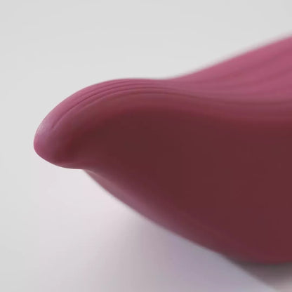 Iroha by Tenga Tori intymus prietaisas, tamsiai raudonas, Soft-Touch silikonas