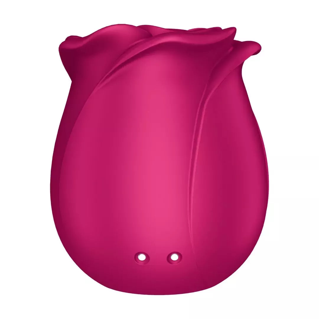 Satisfyer Pro 2 Modern Blossom Rose slėgio bangų stimuliatorius