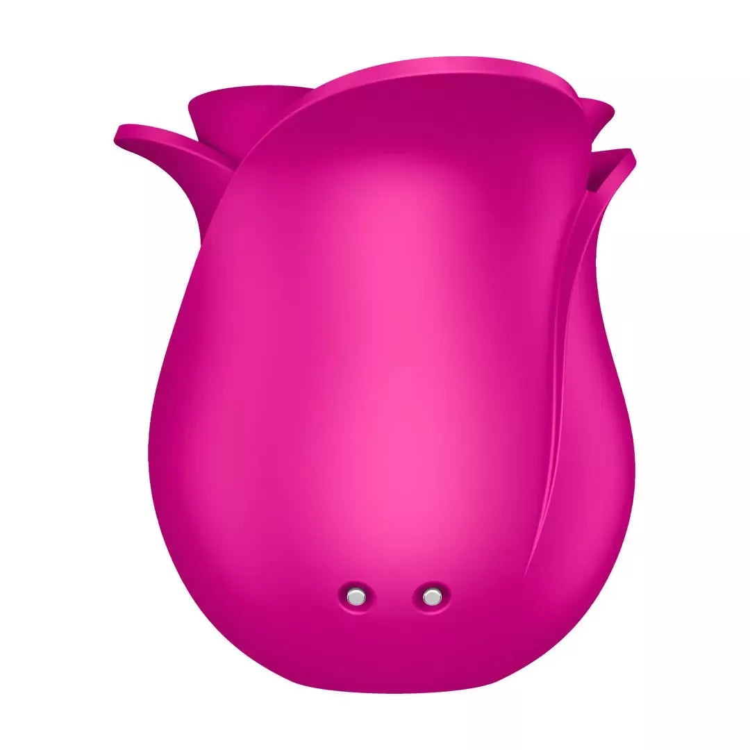 Satisfyer Pro 2 Modern Rose slėgio bangų stimuliatorius, rožinio aukso spalvos, 11 režimų