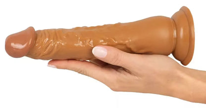 You2Toys Latin Lover lankstus modelis su siurbtuku, 23 cm, PVC